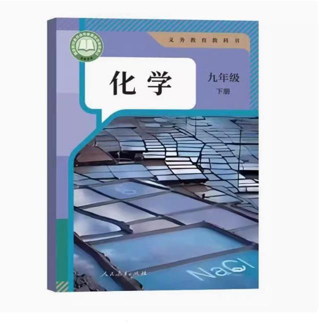 人教版初中化学九年级下册化学