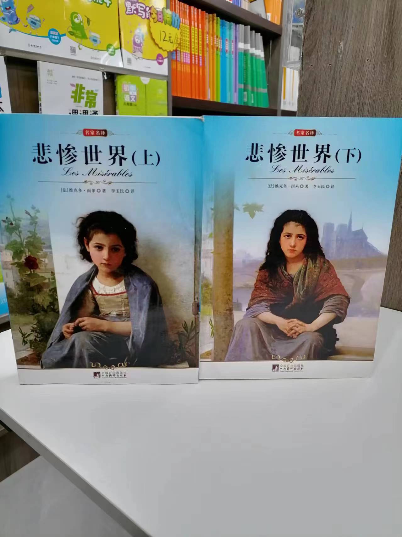 尾货清仓处理悲惨世界上下册