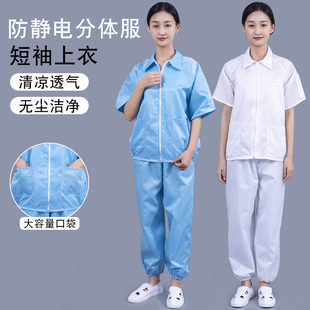 上衣防尘服无尘服分体蓝色夏季 防静电服短袖 男女白色洁净工作服