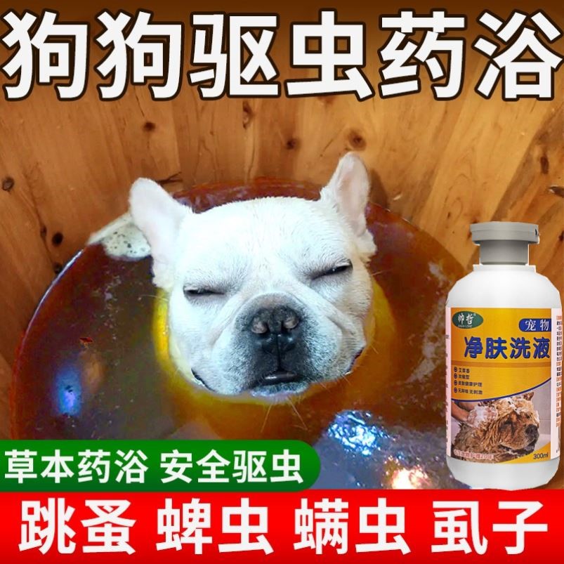 狗狗驱虫药浴杀跳蚤虱子蜱虫专用猫咪体外去虫除螨止痒宠物洗澡液
