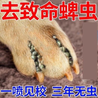 狗狗除跳蚤宠物体外驱虫药虱子药猫咪除去蜱虫猫犬喷剂滴剂