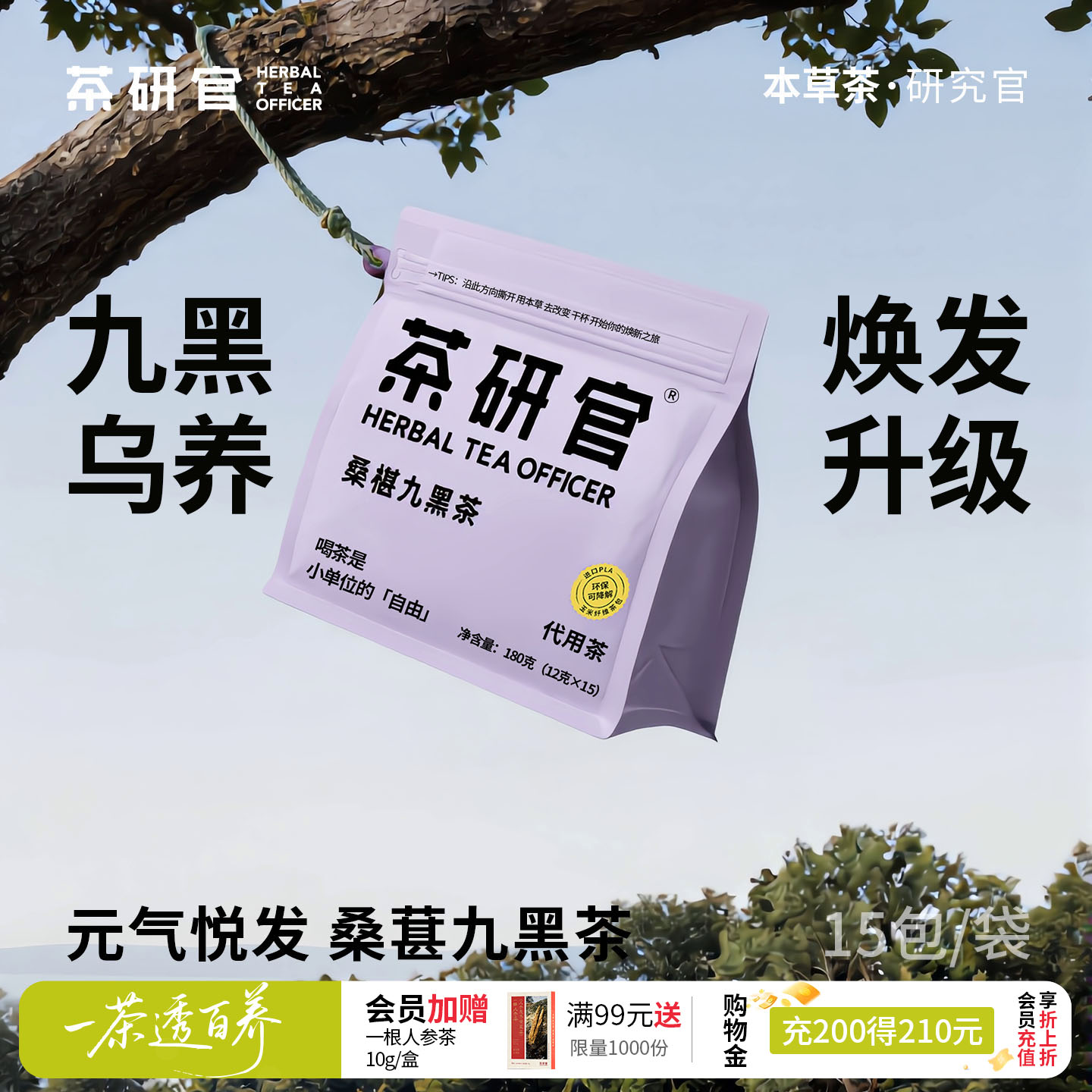 茶研官枸杞桑葚茶九黑茶图片