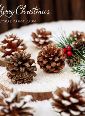 圣诞装饰品圣诞树装饰球小松果diy材料ins风场景布置创意摆件道具