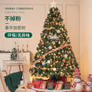 圣诞树客厅家用网红diy2025新款 饰耶诞树 大型ins风高级感圣诞节装