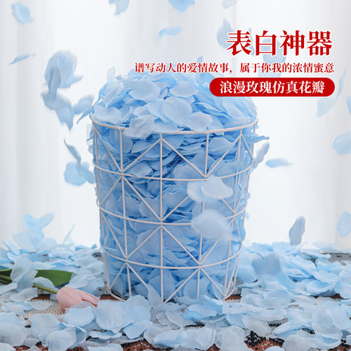 【520求婚布置花瓣】浪漫布置