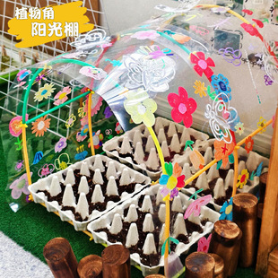 幼儿园植物角环创区角自制教玩具diy大棚观察自制种植区装饰
