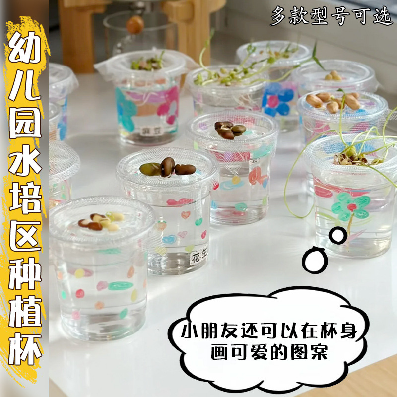 幼儿园水培花生种植杯自然角环创植物角布置材料儿童观察记录杯子
