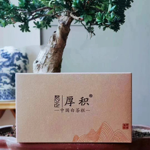 福鼎白茶 君正 厚积白茶糕 白牡丹 松压茶糕246克 2019年己亥年制