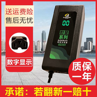 电动车充电器雅迪爱玛台铃小刀电瓶车电车通用60v20ah48v12ah72v