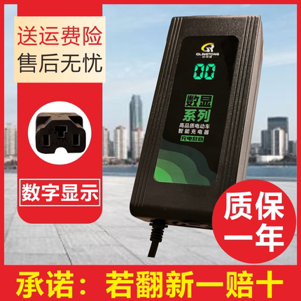 电动车充电器雅迪爱玛台铃小刀电瓶车电车通用60v20ah48v12ah72v