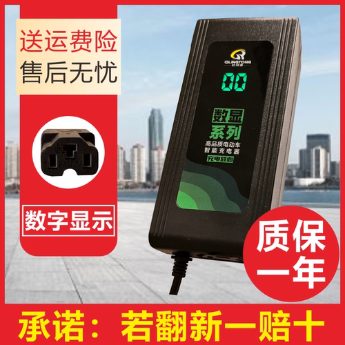 电动车充电器通用60V48V72V