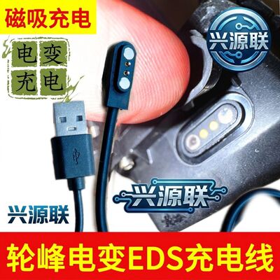 适用Rrskit功率计充电线适用轮峰wheeltop配件电变充电器前后拨充