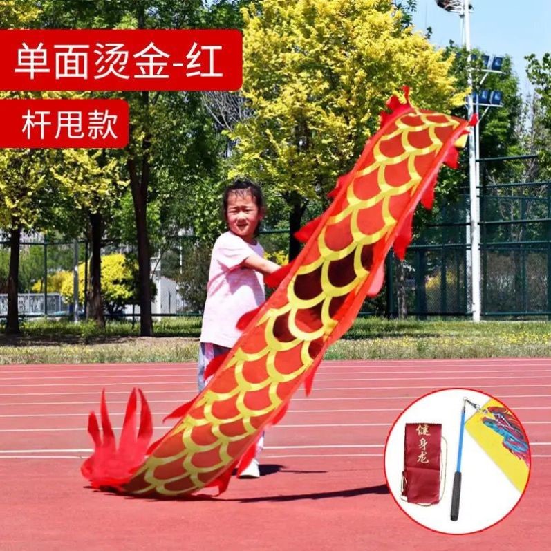 儿童彩带龙广场舞健身龙幼儿玩具甩甩龙团体表演节目道具舞龙全套