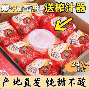 福建漳州葡萄柚新鲜水果黄金西柚多汁超甜精品礼盒5斤10斤+榨汁杯