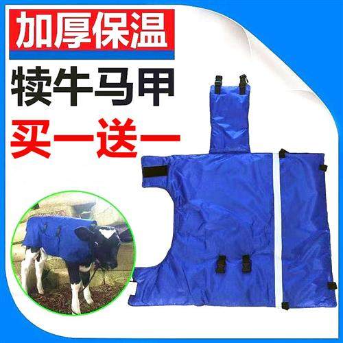 犊牛马甲出生牛犊子马甲加绒加厚保暖防寒衣兽用养殖保温防水马甲