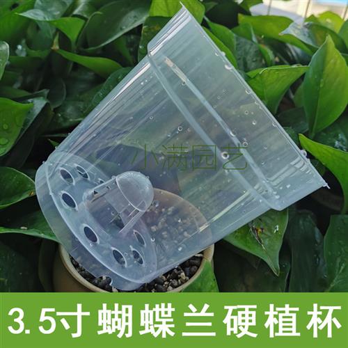 3.5寸透明育苗杯蝴蝶兰控根盆透气塑料硬植杯洋兰石斛沥水罩花盆