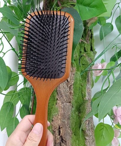 艾凡达学生气囊按摩梳小红书推荐