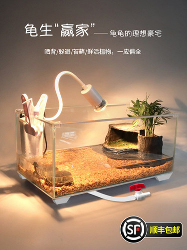 玻璃乌龟缸家用客厅小别墅饲养箱小型养乌龟专用缸生态鱼缸屋造景