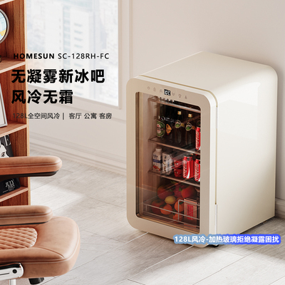法国HOMESUN小型饮料冰箱小冰吧