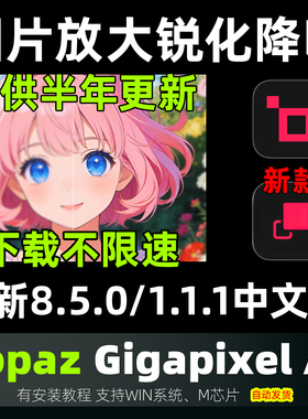Topaz Gigapixel AI 8.5.0 中文版 图片无损放大模糊清晰超分辨率