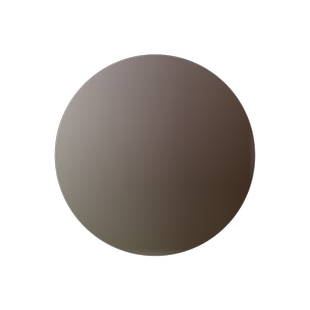 大型楠竹竹子苗毛竹绿化竹苗竹笋户外种植四季常青植物根庭院