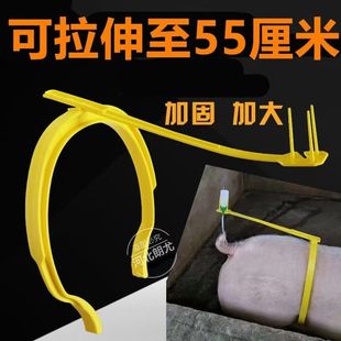 母猪配种架输精夹猪用配猪支架输精背夹配种夹猪人工授精设备