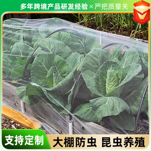 爆款防虫网大棚种菜农用果树防鸟