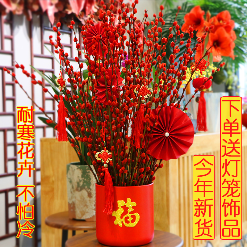 银柳水培植物福桶装饰盆栽