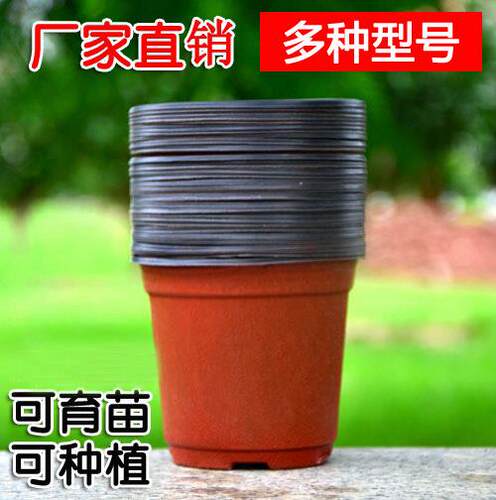 塑料育苗花盆双色花盆营养杯营养钵种植移植