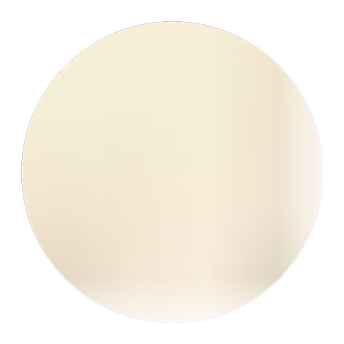 【带】矮化玉兰花树苗花苗盆栽室内外庭院花卉紫白玉兰花耐寒