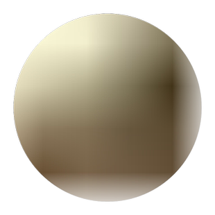 .枳壳苗积壳.枸橘苗.篱笆.刺树,柑橘柠檬柚子脐橙橘子嫁接用砧木