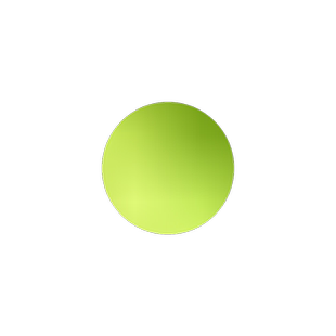 紫竹苗竹子苗盆栽青竹竹子树苗矮化毛竹金镶玉竹黄金竹庭院观赏竹