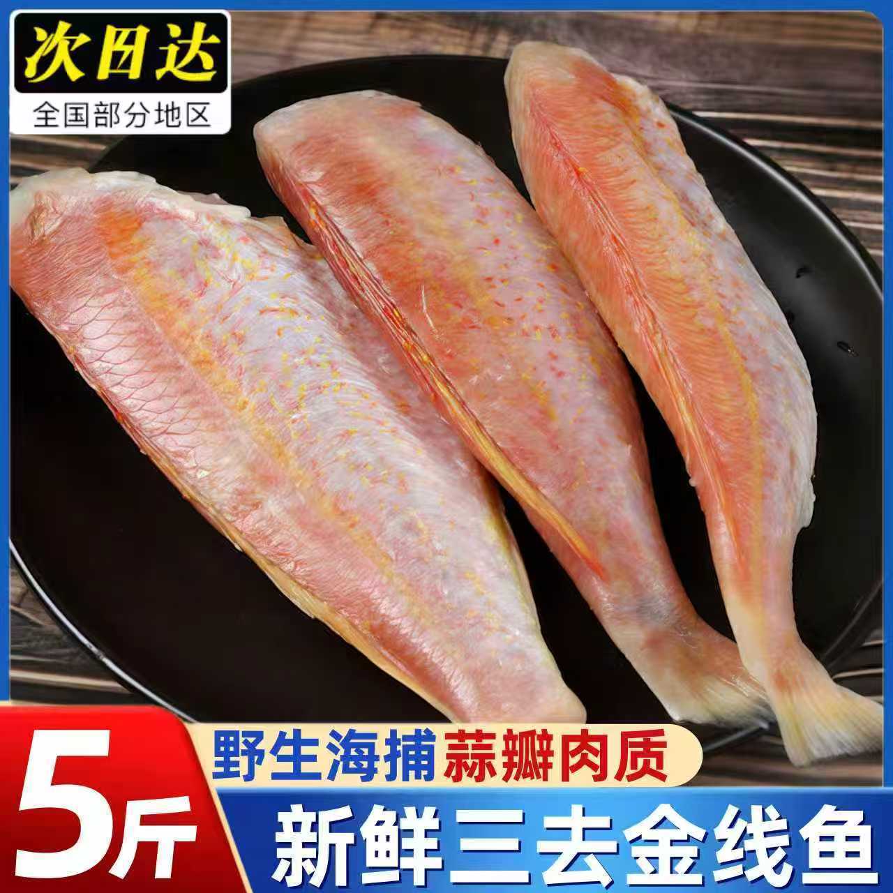 金线鱼新鲜冷冻去头去内脏红杉鱼特大海鱼类鲜活冰鲜商用批发东海