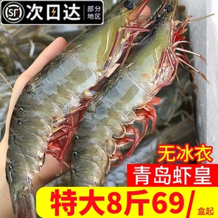 大虾鲜活冷冻特大号基围虾青虾冷冻盐冻对虾白虾新鲜速冻海鲜水产