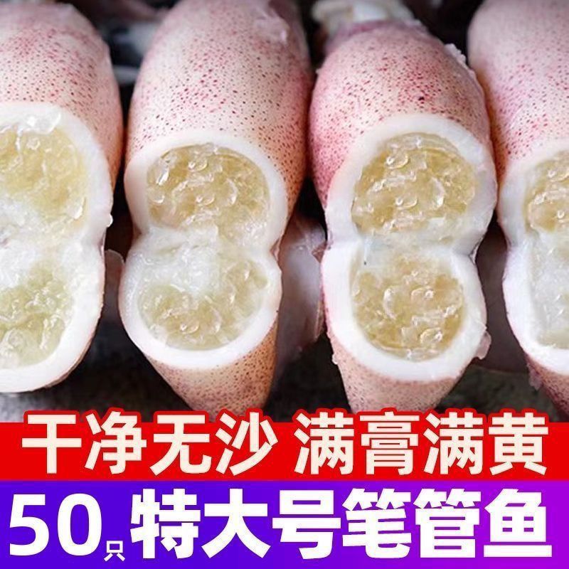 全籽籽乌海兔子满籽鲜活笔管鱼海鲜新鲜冷冻墨鱼仔乌贼小鱿鱼水产