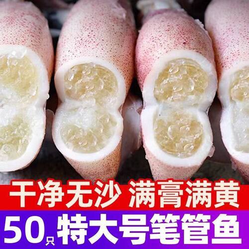 全籽籽乌海兔子满籽鲜活笔管鱼海鲜新鲜冷冻墨鱼仔乌贼小鱿鱼水产