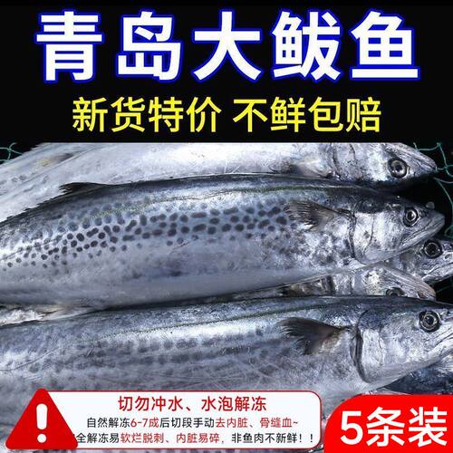 大鲅鱼新鲜活鲐鲅鱼马鲛鱼大整条冷冻青花鱼马友鱼海鲜马交鱼批发