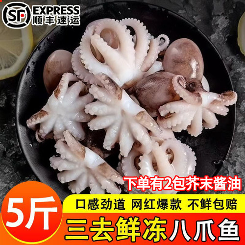 八爪鱼新鲜小章鱼海鲜水产鲜活