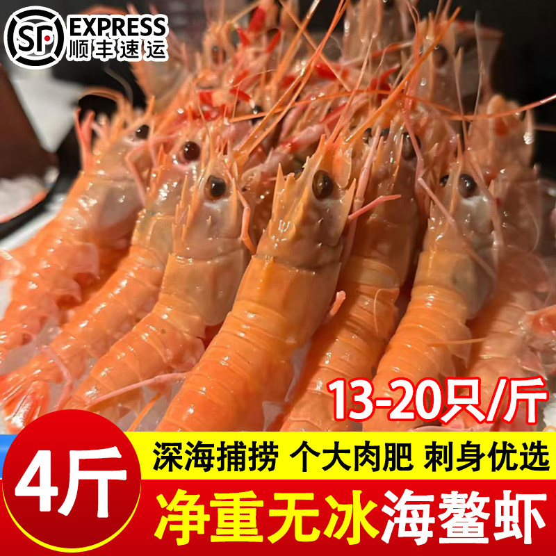新鲜海螯虾现捕现发顺丰包邮