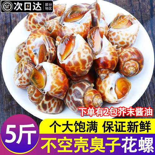 无泥水产鲜活花螺顺丰包邮