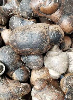 古磐石戈壁原石景观摆件精品特价