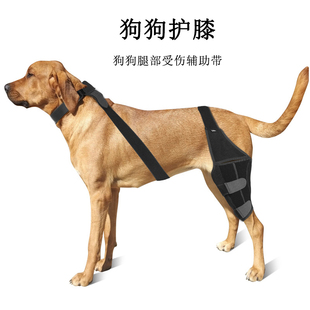 狗狗护膝髌骨脱位固定带护膝腿脚关节骨折防舔咬绑带护具保护套