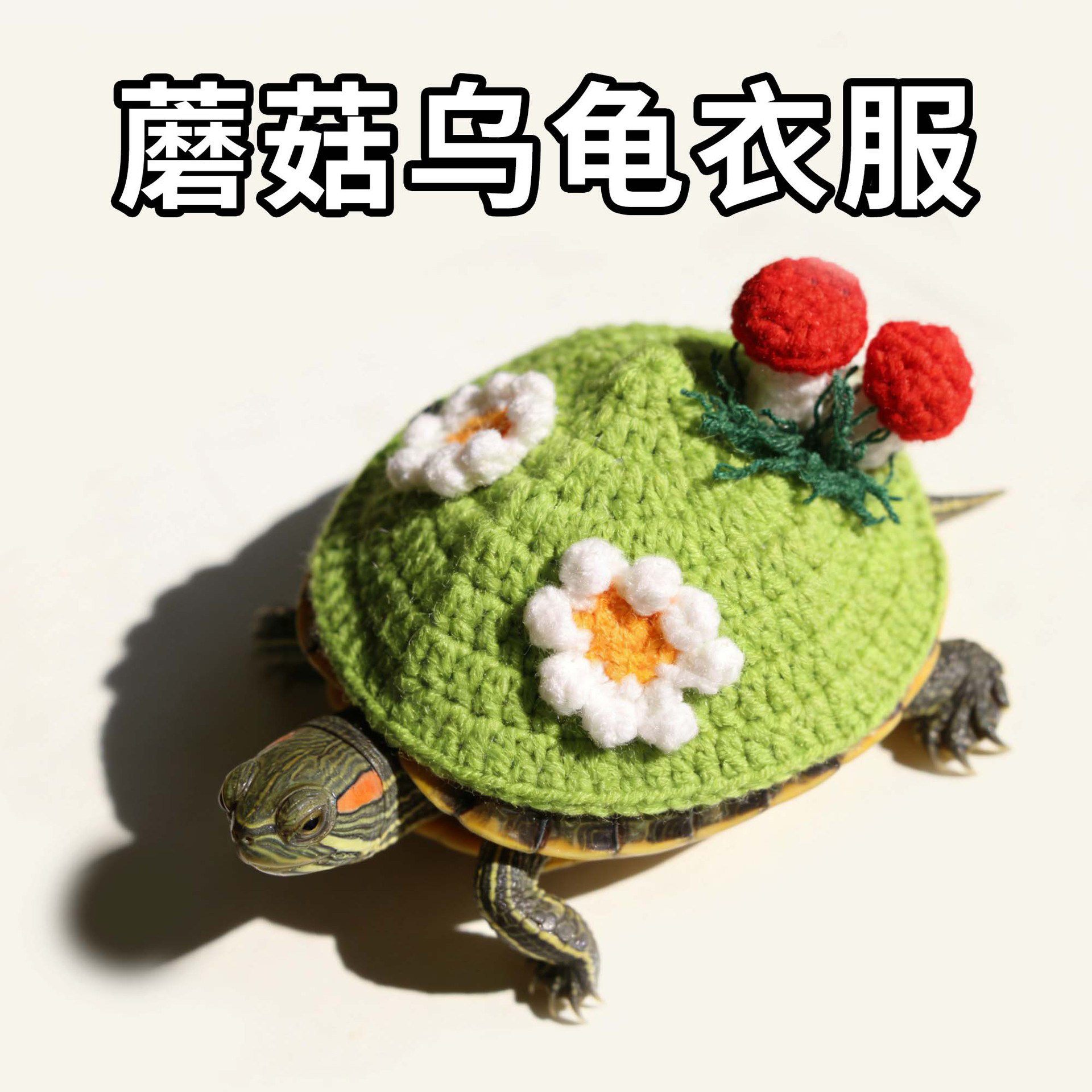 可爱乌龟衣服蘑菇花朵造型针织衫草龟陆龟龟壳保护服宠物服装衣服,宠物/宠物食品及用品,猫宠物服装/雨衣（新）,淘宝优惠券,粉丝福利购,淘宝优惠卷