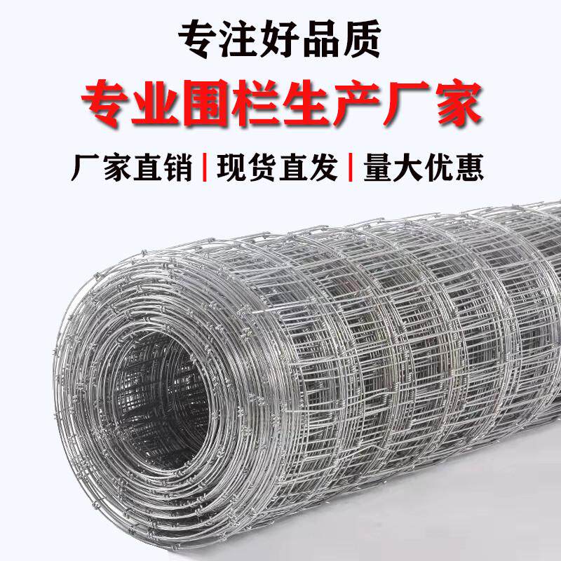 镀锌防锈铁丝网养殖围栏网围牛羊拦网钢丝网果园隔离围网栏网栅栏