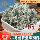 2025年野生茵陈中药材500g官方旗舰店三月棉茵陈新鲜白蒿干茵陈茶
