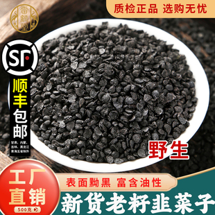 韭菜籽中药材500g官方旗舰店老品种野生韭菜子炒熟 粉男性枸杞茶