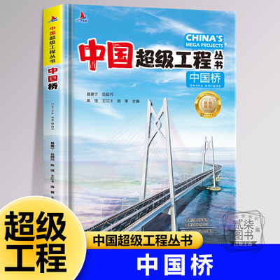【中国桥】中国超级工程丛书港澳珠大桥 矮寨特大悬索桥北盘江第一桥五峰山大桥探索大国里的科学奥秘小学生儿童科普科学百科全书
