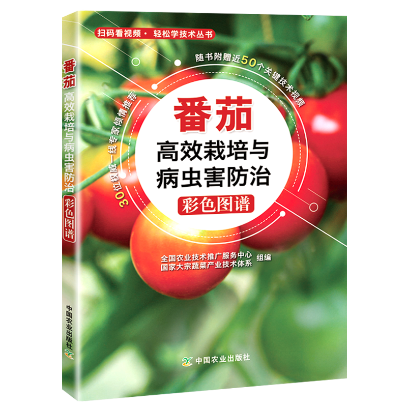 扫码看技术视频）番茄高效栽培与病虫害防治详细图文版大棚蔬菜种植农业大宗蔬菜产业技术体系西红柿洋柿高产量技术书籍
