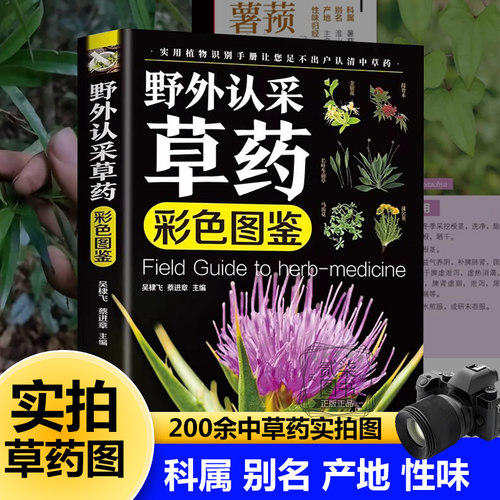 野外认采草药全实拍图200余种草药科属 别名 产地 性味归经快速认药中草药学野外识别应用彩色图鉴大全图解版草药材识别入门