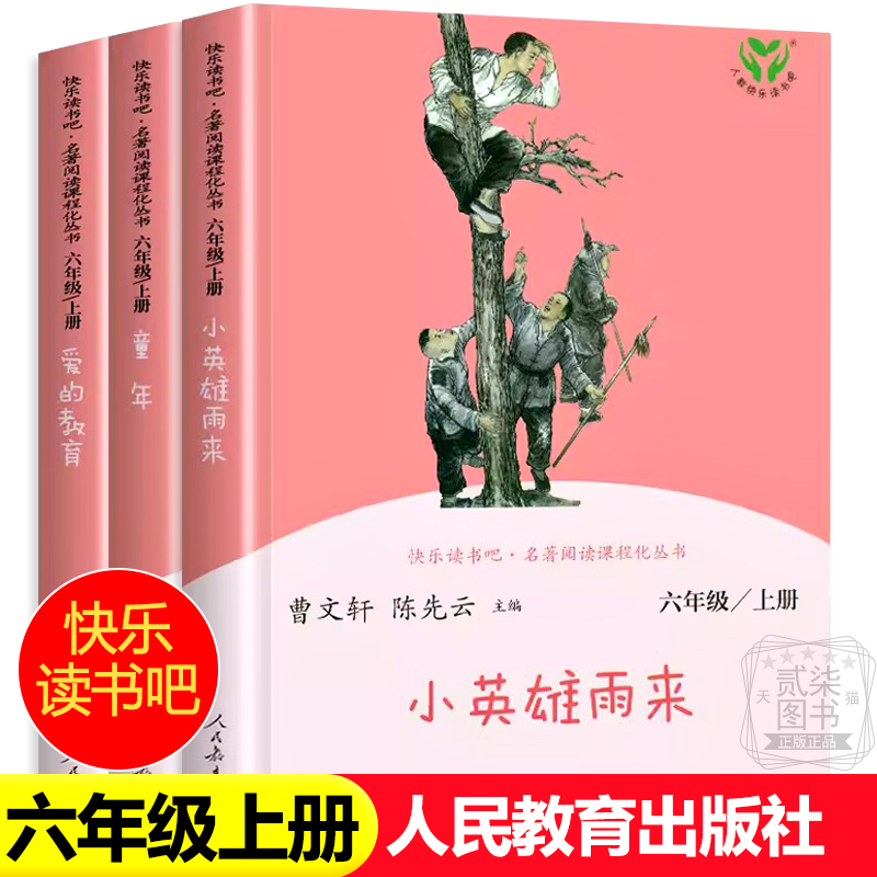 【人教版】人民教育出版社小英雄雨来 爱的教育 童年高尔基快乐读书吧六年级上册 课外书必读 新疆西藏包邮
